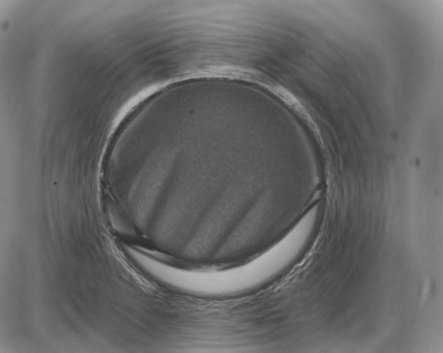 X0000085261230200703231707