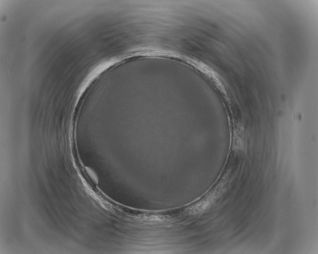 X0000085261231200703231707