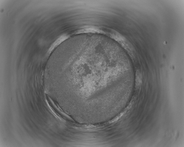 X0000085261233200703231707