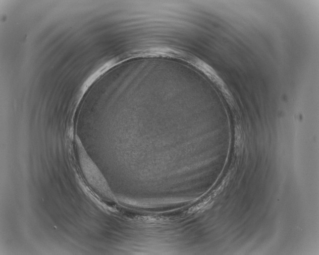 X0000085261234200703231707