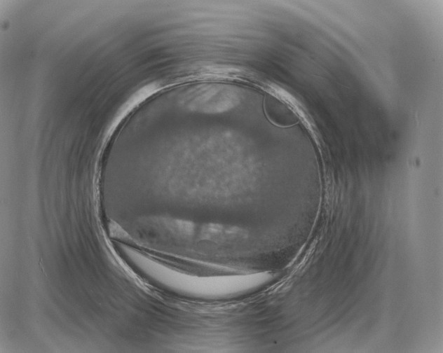 X0000085261235200703231707