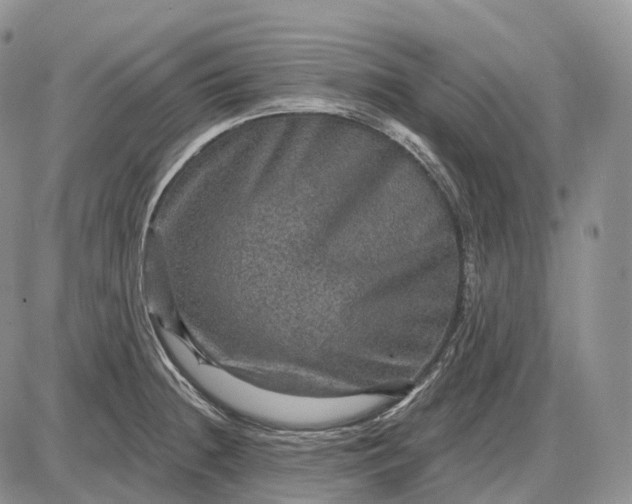 X0000085261236200703231707