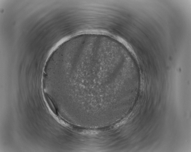 X0000085261237200703231707