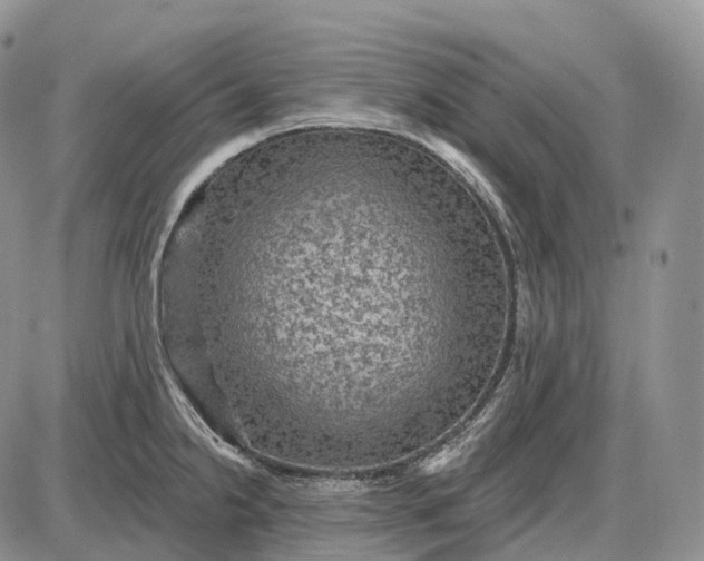 X0000085261238200703231707