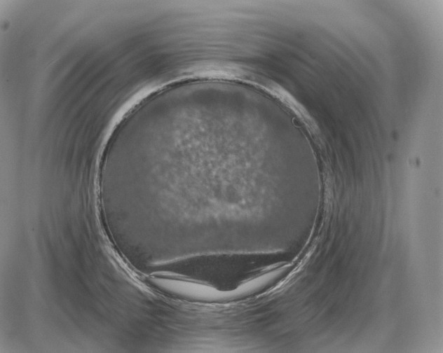 X0000085261240200703231707