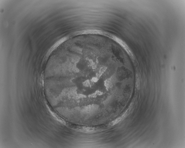 X0000085261241200703231707