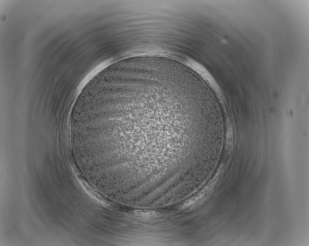 X0000085261242200703231707