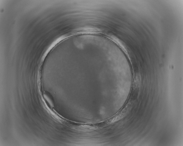 X0000085261243200703231707