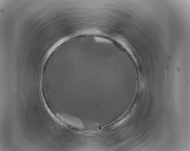 X0000085261245200703231707