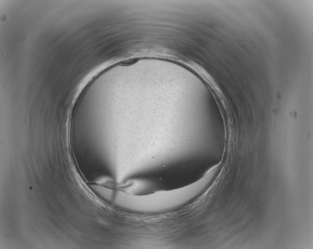 X0000085261246200703231707