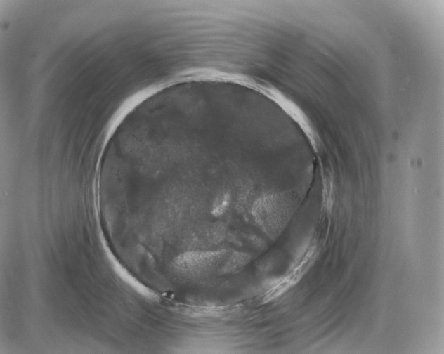 X0000085261247200703231707