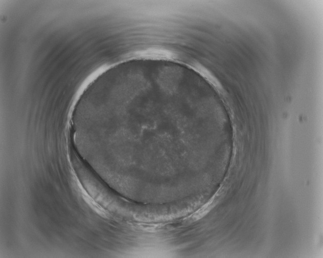 X0000085261248200703231707