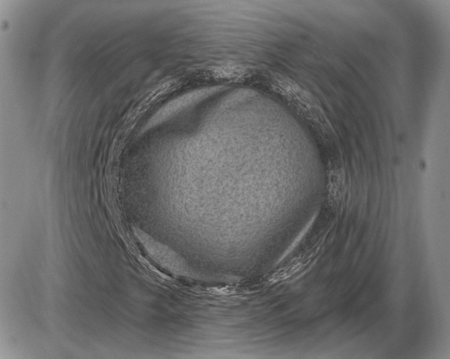 X0000085261249200703231706