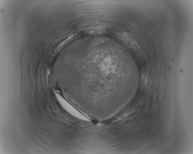 X0000085261250200703231706