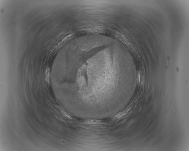 X0000085261251200703231706