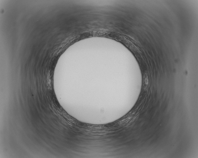 X0000085261252200703231706