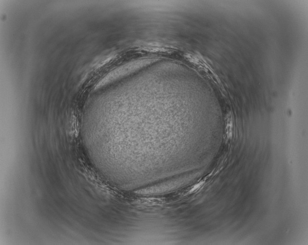 X0000085261253200703231706