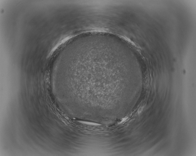 X0000085261255200703231706