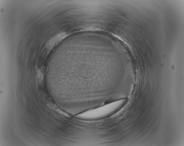 X0000085261257200703231706