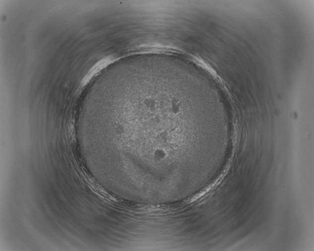 X0000085261259200703231706