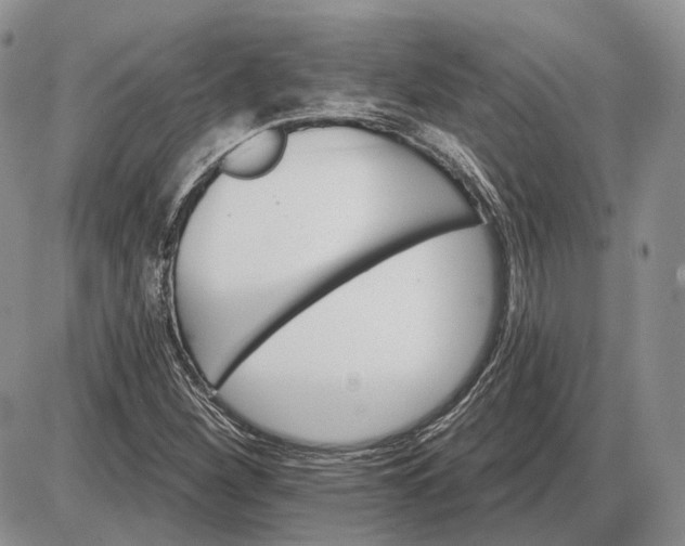 X0000085261260200703231706