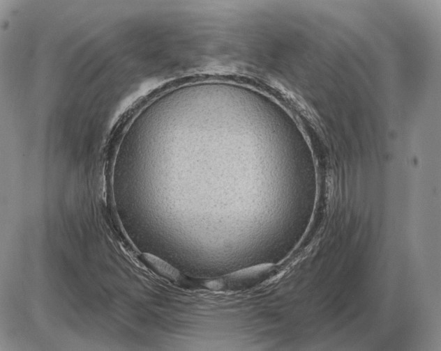 X0000085261262200703231706