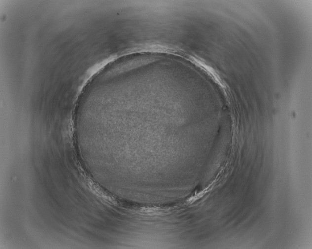 X0000085261264200703231706