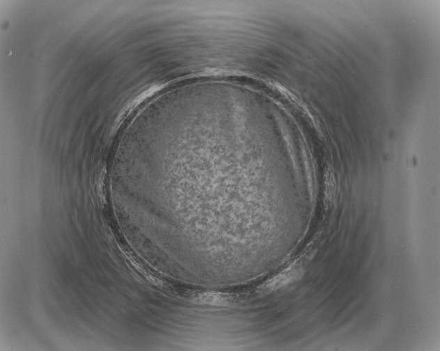 X0000085261265200703231706