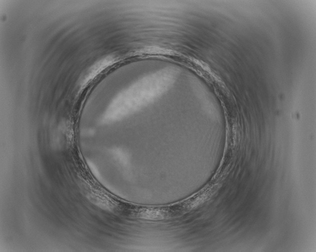 X0000085261266200703231706