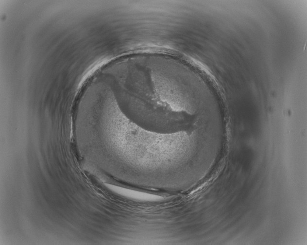 X0000085261267200703231706