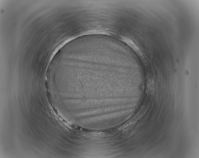 X0000085261268200703231706