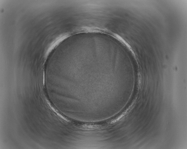 X0000085261269200703231706