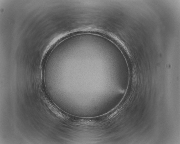 X0000085261270200703231706