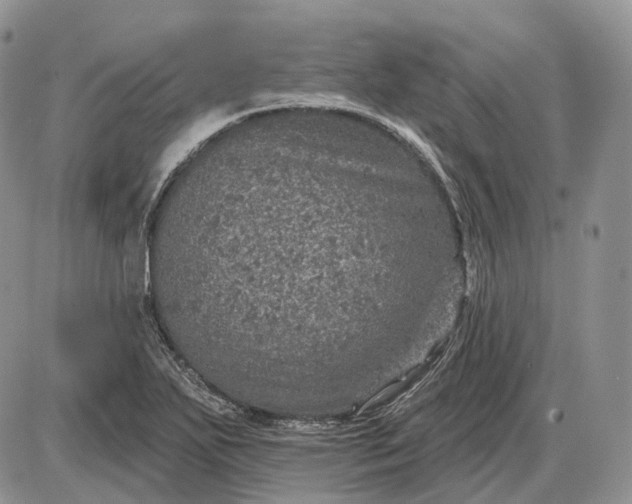 X0000085261271200703231706