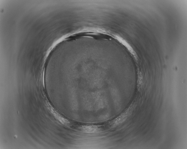 X0000085261272200703231706