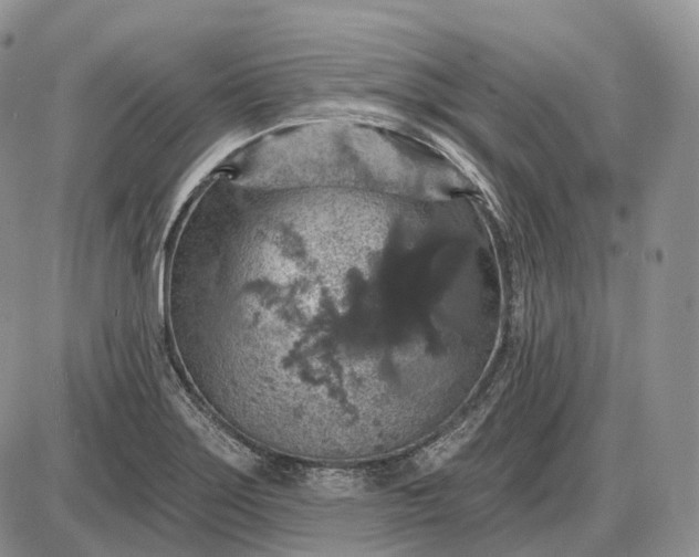 X0000085261275200703231706