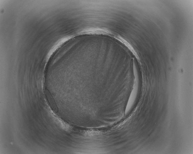 X0000085261277200703231706