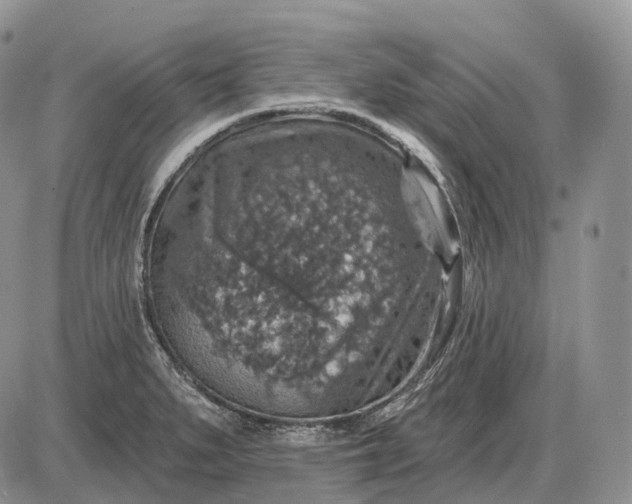 X0000085261279200703231706