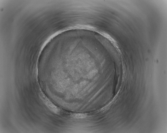 X0000085261280200703231706