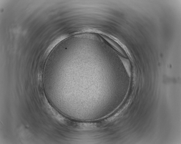 X0000085261281200703231706