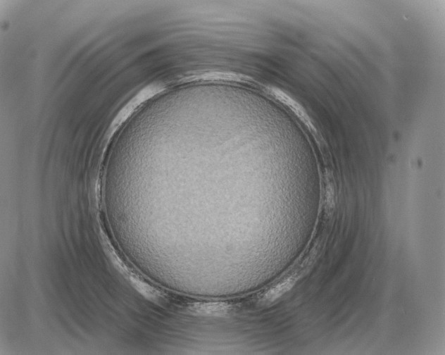 X0000085261282200703231706