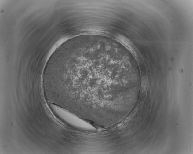 X0000085261283200703231706