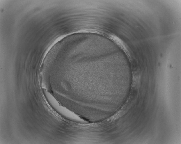 X0000085261284200703231706