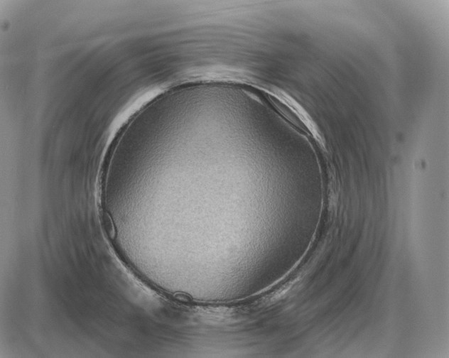 X0000085261285200703231706