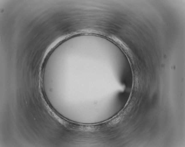 X0000085261286200703231706