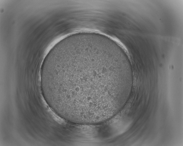 X0000085261287200703231706