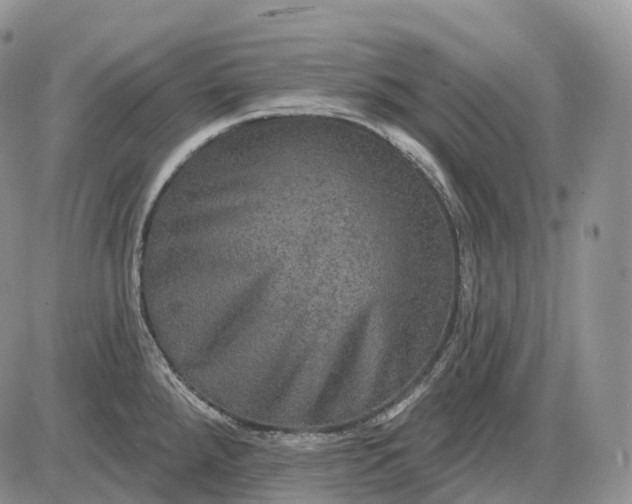 X0000085261288200703231706