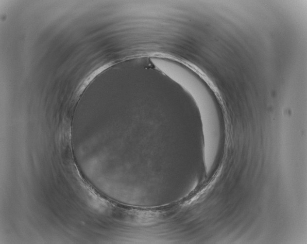 X0000085261289200703231706