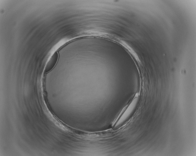 X0000085261291200703231706