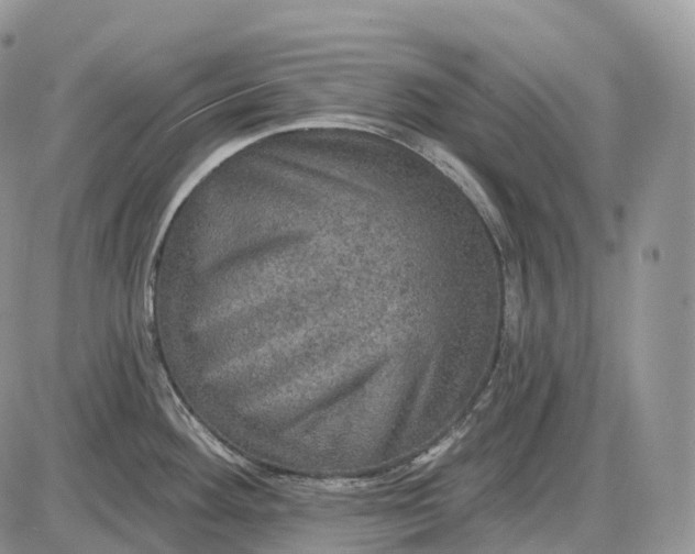 X0000085261292200703231706